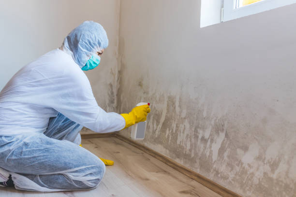 Licensed Commercial Mold Remediation service in Woodcliff Lake, NJ - WQB Mold Removal