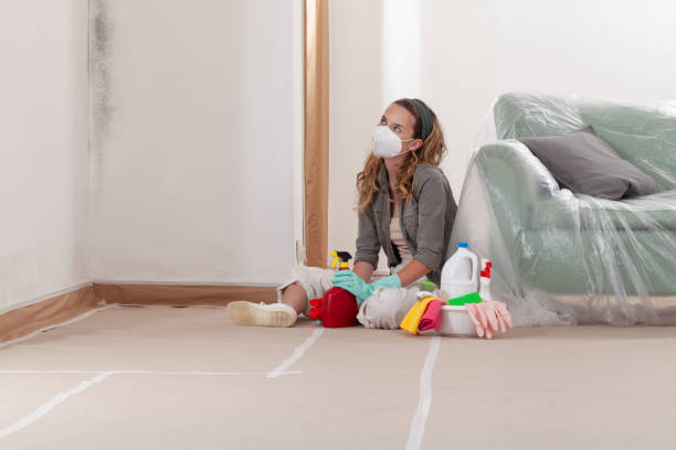 Reliable Commercial Mold Remediation contractor in Woodcliff Lake, NJ by WQB Mold Removal